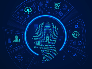 How Forensic Tools Analyze Data